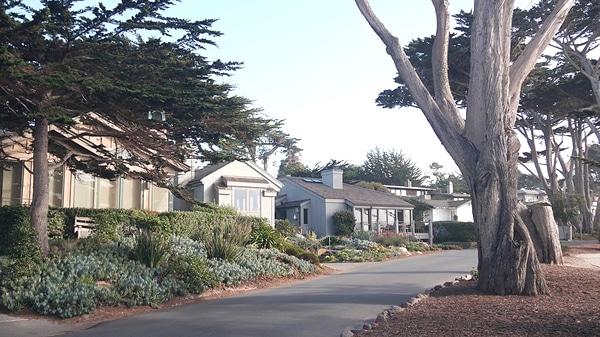 Monterey California suburban street homes